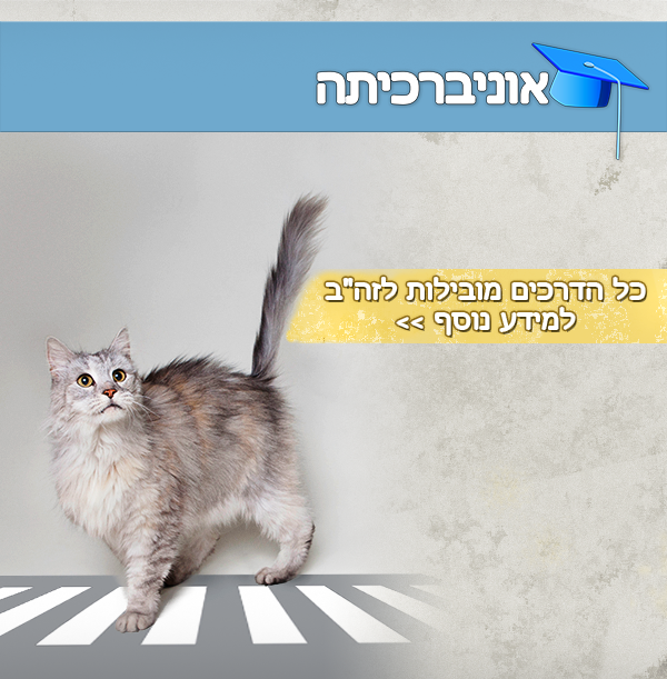 הדרך הקלה והמהירה ביותר לתרגל בחשבון, אנגלית, עברית, לשון ועוד.